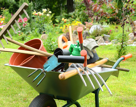 Trädgårdsarbete i nybro